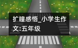 擴(kuò)瞳感悟_小學(xué)生作文:五年級(jí)