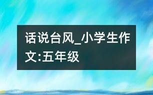 話說(shuō)臺(tái)風(fēng)_小學(xué)生作文:五年級(jí)
