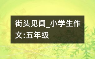 街頭見(jiàn)聞_小學(xué)生作文:五年級(jí)