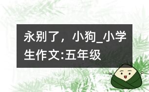 永別了，小狗_小學生作文:五年級