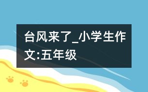 臺(tái)風(fēng)來了_小學(xué)生作文:五年級(jí)