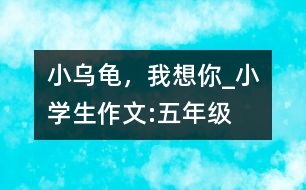 小烏龜，我想你_小學(xué)生作文:五年級(jí)