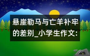 懸崖勒馬與亡羊補(bǔ)牢的差別_小學(xué)生作文:五年級