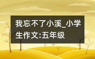 我忘不了,小溪_小學(xué)生作文:五年級