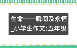 生命――瞬間及永恒_小學生作文:五年級