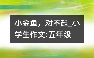 小金魚，對不起_小學生作文:五年級