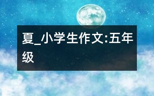 夏_小學(xué)生作文:五年級
