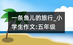 一條魚兒的旅行_小學(xué)生作文:五年級