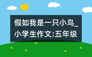 假如我是一只小鳥_小學(xué)生作文:五年級