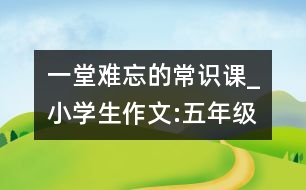 一堂難忘的常識(shí)課_小學(xué)生作文:五年級(jí)