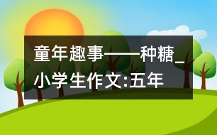 童年趣事――“種”糖_小學生作文:五年級