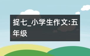 捉七_(dá)小學(xué)生作文:五年級
