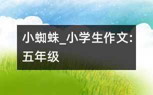 小蜘蛛_小學生作文:五年級