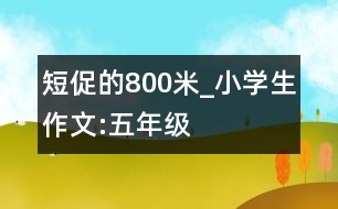 短促的800米_小學(xué)生作文:五年級