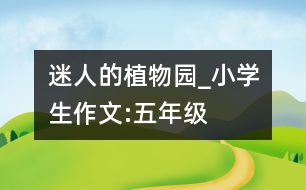 迷人的植物園_小學(xué)生作文:五年級