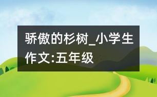 驕傲的杉樹_小學(xué)生作文:五年級