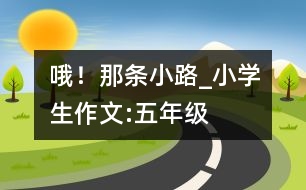 哦！那條小路_小學(xué)生作文:五年級(jí)