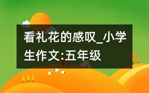 看禮花的感嘆_小學生作文:五年級