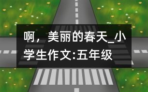 啊，美麗的春天_小學(xué)生作文:五年級(jí)