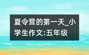 夏令營的第一天_小學生作文:五年級