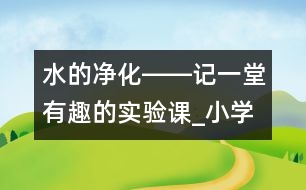 水的凈化――記一堂有趣的實(shí)驗(yàn)課_小學(xué)生作文:四年級(jí)