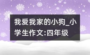 我愛我家的小狗_小學(xué)生作文:四年級