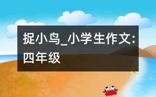 捉小鳥_小學(xué)生作文:四年級(jí)