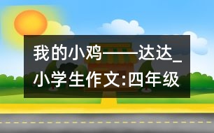 我的小雞――達達_小學(xué)生作文:四年級