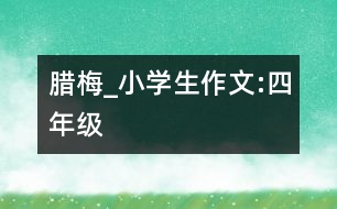 臘梅_小學生作文:四年級