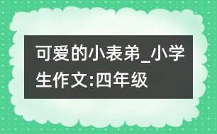 可愛的小表弟_小學生作文:四年級