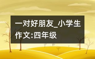 一對好朋友_小學(xué)生作文:四年級(jí)