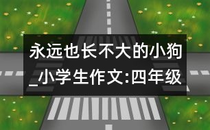 永遠(yuǎn)也長不大的小狗_小學(xué)生作文:四年級