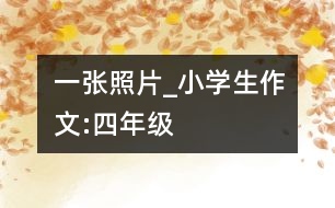 一張照片_小學生作文:四年級