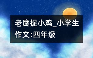 老鷹捉小雞_小學生作文:四年級