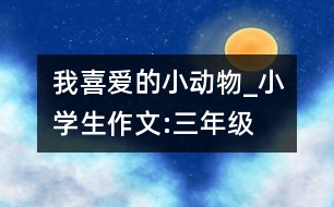 我喜愛的小動物_小學(xué)生作文:三年級
