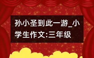 “孫小圣到此一游”_小學生作文:三年級