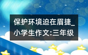 保護(hù)環(huán)境迫在眉捷_小學(xué)生作文:三年級