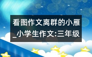 看圖作文離群的小雁_小學(xué)生作文:三年級(jí)