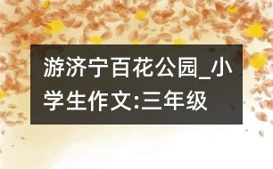 游濟(jì)寧百花公園_小學(xué)生作文:三年級