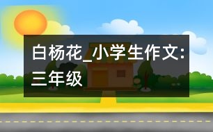 白楊花_小學(xué)生作文:三年級