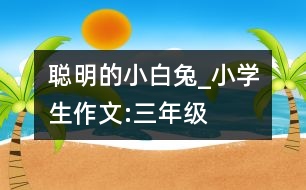 聰明的小白兔_小學(xué)生作文:三年級