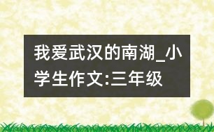 我愛(ài)武漢的南湖_小學(xué)生作文:三年級(jí)
