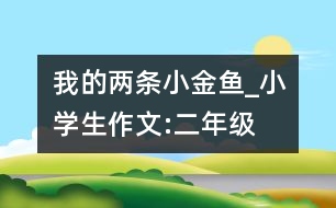 我的兩條小金魚(yú)_小學(xué)生作文:二年級(jí)