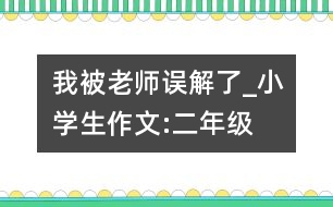 我被老師誤解了_小學生作文:二年級