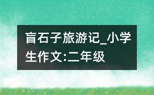 盲石子旅游記_小學生作文:二年級