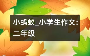 小螞蟻_小學(xué)生作文:二年級