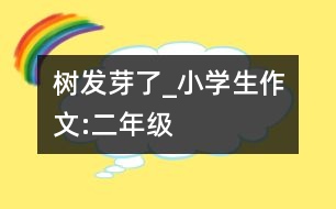 樹(shù)發(fā)芽了_小學(xué)生作文:二年級(jí)