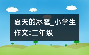 夏天的冰雹_小學生作文:二年級