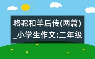 駱駝和羊后傳(兩篇)_小學生作文:二年級