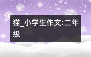 貓_小學生作文:二年級
